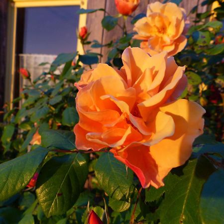 La Maison Rouge Chauvigny Ngoại thất bức ảnh